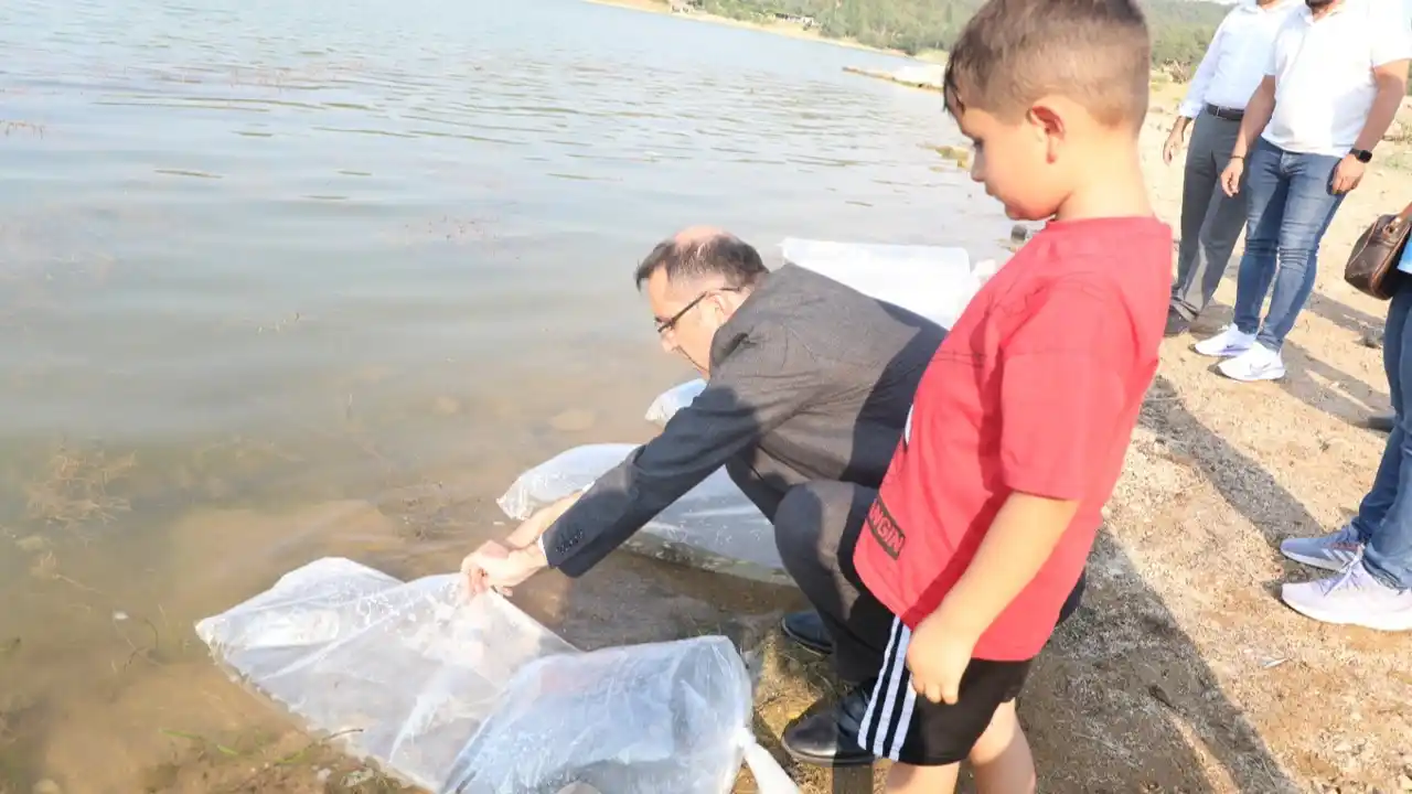 Göletlere Sazan Bırakıldı Uşak