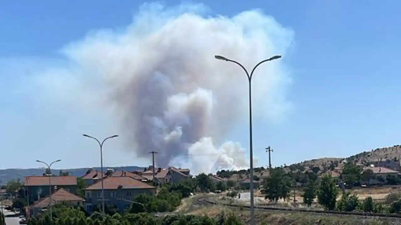 Uşak Eşme Balabancı Köyü Yangın3