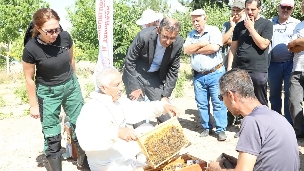 Uşak Kapaklar Köyü Arı Dağıtım2