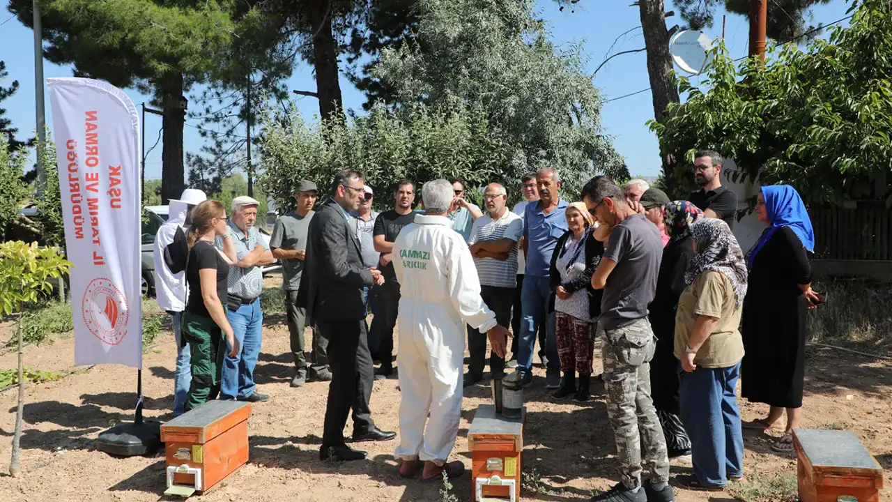 Uşak Kapaklar Köyü Arı Dağıtım4