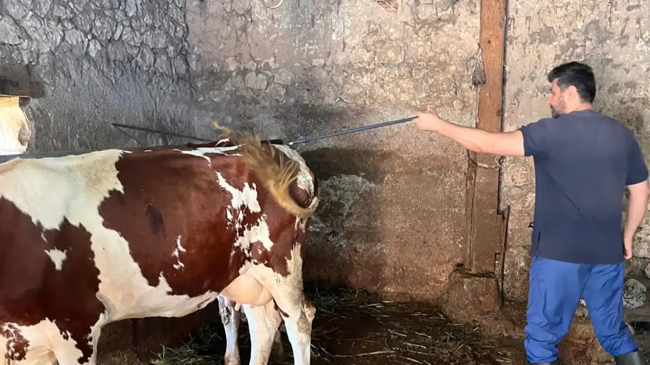 Eşme Şap Aşılama1
