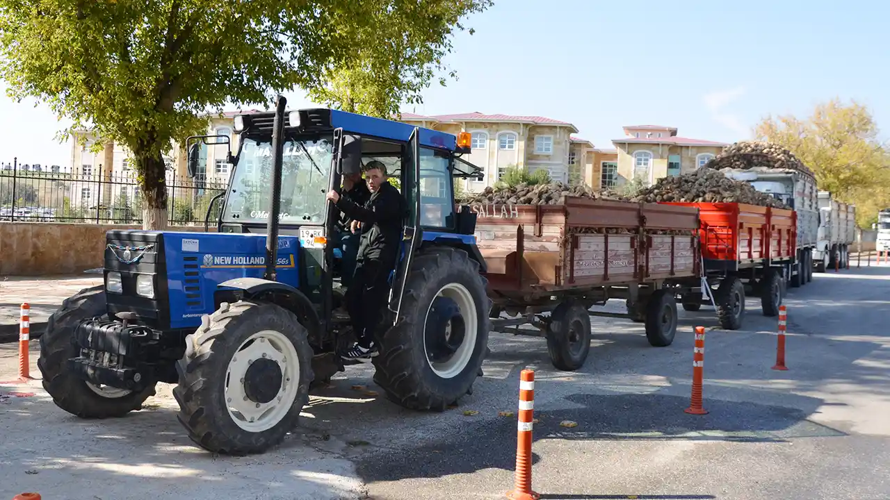 Şeker Fabrikası Pancar Alım Kampanya4